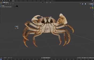 写实河蟹,螃蟹,大闸蟹3D模型