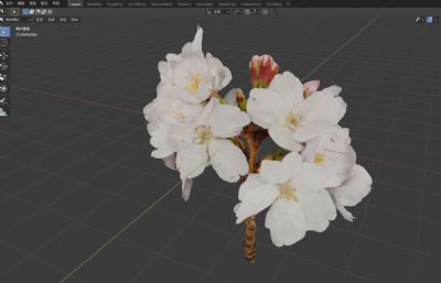 现实重的樱花3D模型