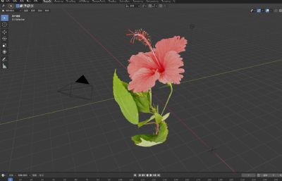 扶桑花,中国蔷薇花3D模型