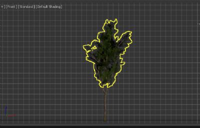 树木,小树3D模型