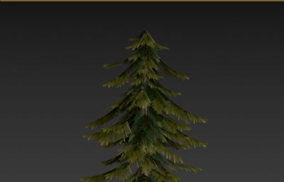 低模松树3D模型