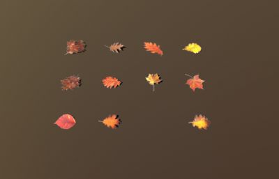秋叶,树叶,落叶植物3dmax模型