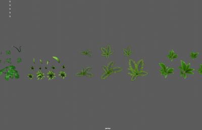 写实灌木,大叶植物,野草,原始森林花草植物3dmaya模型,塌陷文件