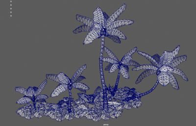椰子树,棕榈树,Q版椰树,海滩植物3dmaya模型