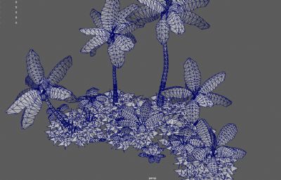 椰子树,棕榈树,Q版椰树,海滩植物3dmaya模型