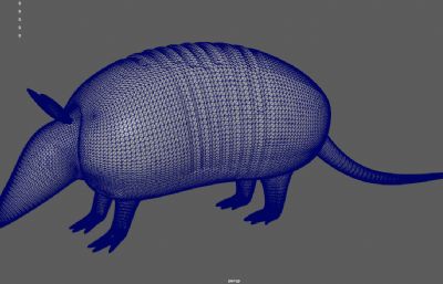 写实宽纹裸尾犰狳,铠鼠,食蚁兽3dmaya模型