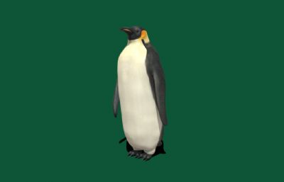 帝企鹅,南极大企鹅,大脚企鹅3dmaya模型,已塌陷