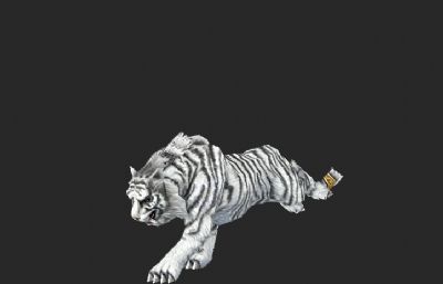 白虎带奔跑动作3D模型