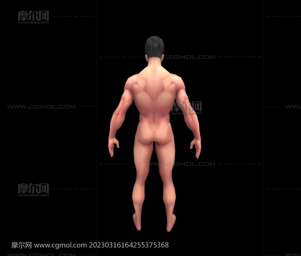 跳水运动员,男人体模型