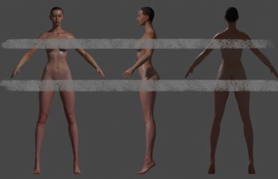 bpr基础女人体blender模型
