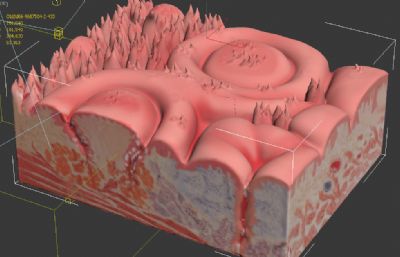 细胞组织剖面 人体细胞肌肉脂肪结构剖面图