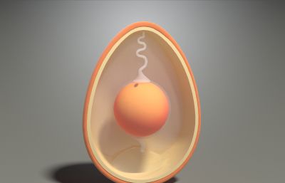 鸡蛋剖面 鸡蛋孵化 鸡蛋胚胎 鸡蛋黄