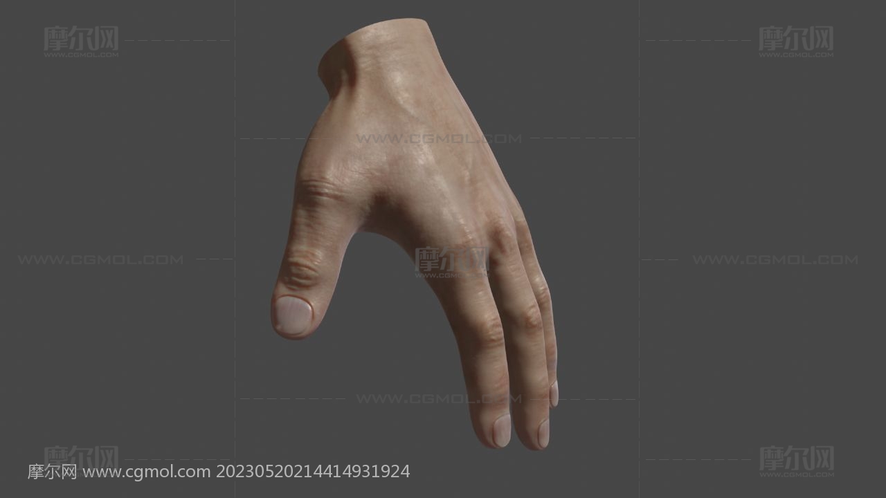 超写实手掌 男人手部 男性手掌blender模型