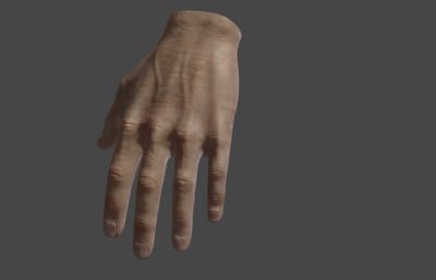 超写实手掌 男人手部 男性手掌blender模型