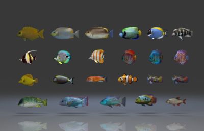 36种鱼类合集,每种鱼有5套动画(进食,死亡,游泳,快游,漫游),带绑定