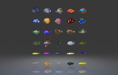 30种海洋鱼类合集,有游动动画,有绑定