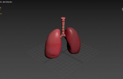 肺部呼吸系统