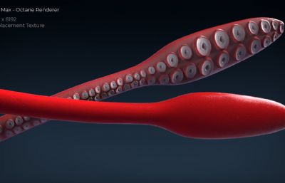 巨型鱿鱼3dmax模型