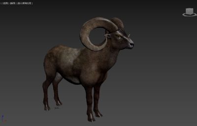 写实山羊3dmax模型