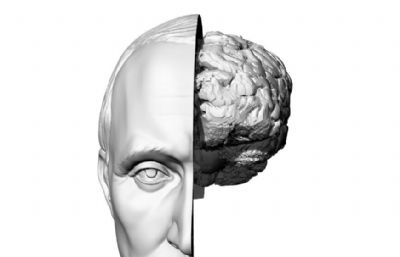 带大脑的人类头部stl模型