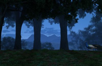 森林孔雀夜景3dmax模型