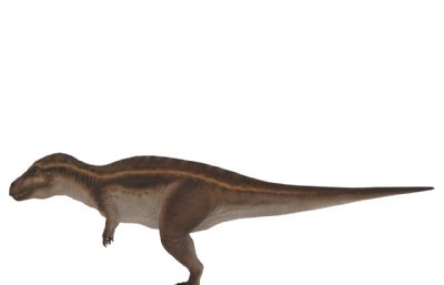 高棘龙,棘龙,恐龙3dmax模型