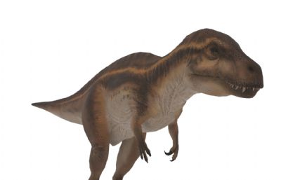 高棘龙,棘龙,恐龙3dmax模型