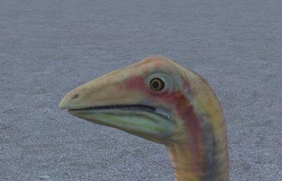 古似鸟龙,恐龙3dmax模型
