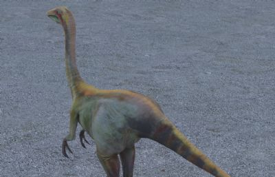 古似鸟龙,恐龙3dmax模型