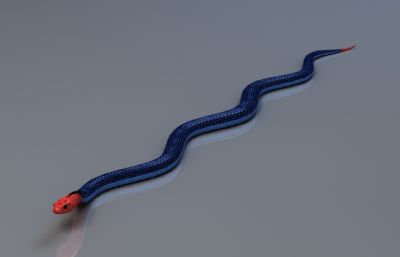 写实蓝长腺珊瑚蛇,有绑定,25套姿态和动画
