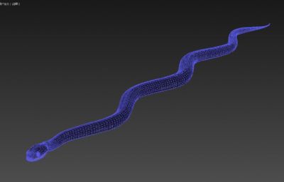 PBR黑脊蛇max,fbx模型,有绑定,25套姿态和动画