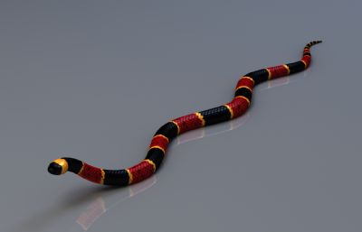 东部珊瑚蛇写实3dmax模型,有绑定,25套姿态和动画