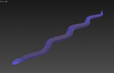 PBR写实东部拟眼镜蛇3dmax模型,带绑定,带25套姿态和游动动画
