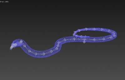 PBR黑曼巴蛇3dmax模型,有绑定,20套姿态和动画