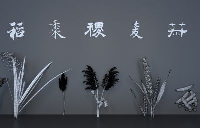 稻,黍,稷,麦,菽五谷3dmax模型