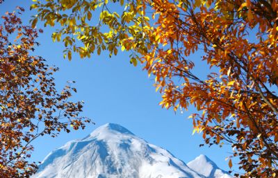 写实雪山湖泊场景,秋季植物3dmax模型,Corona渲染