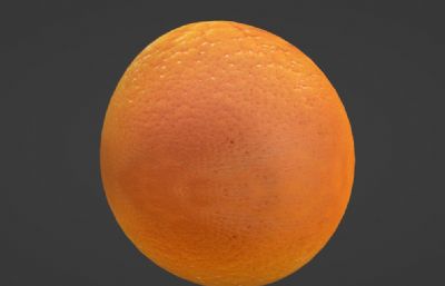 快干瘪的橙子写实模型