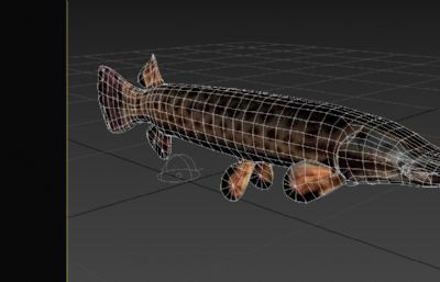 鳄雀鳝写实3dmax模型
