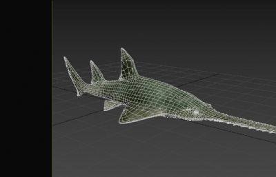 写实绿锯鳐,鳐鱼3dmax模型