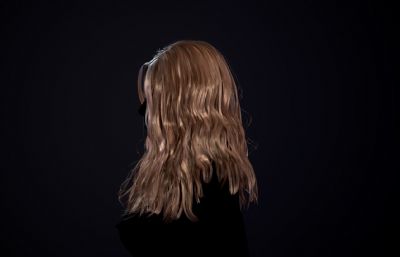 女孩披肩头发3dmax模型