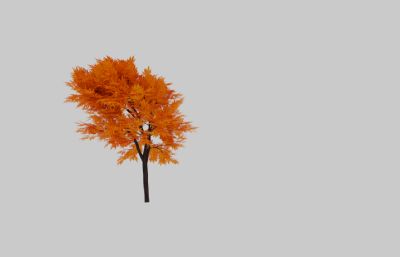 红枫树glb模型