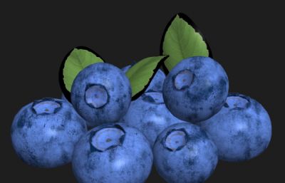 写实蓝莓果子3dmax模型
