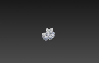 写实蓝莓果子3dmax模型