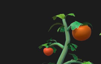卡通番茄,西红柿,番茄树FBX模型