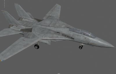 F-14雄猫战斗机,折叠翼战机,超音速战斗机