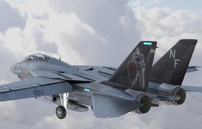 F14战斗机,超音速多用途舰载战斗机,带驾驶舱
