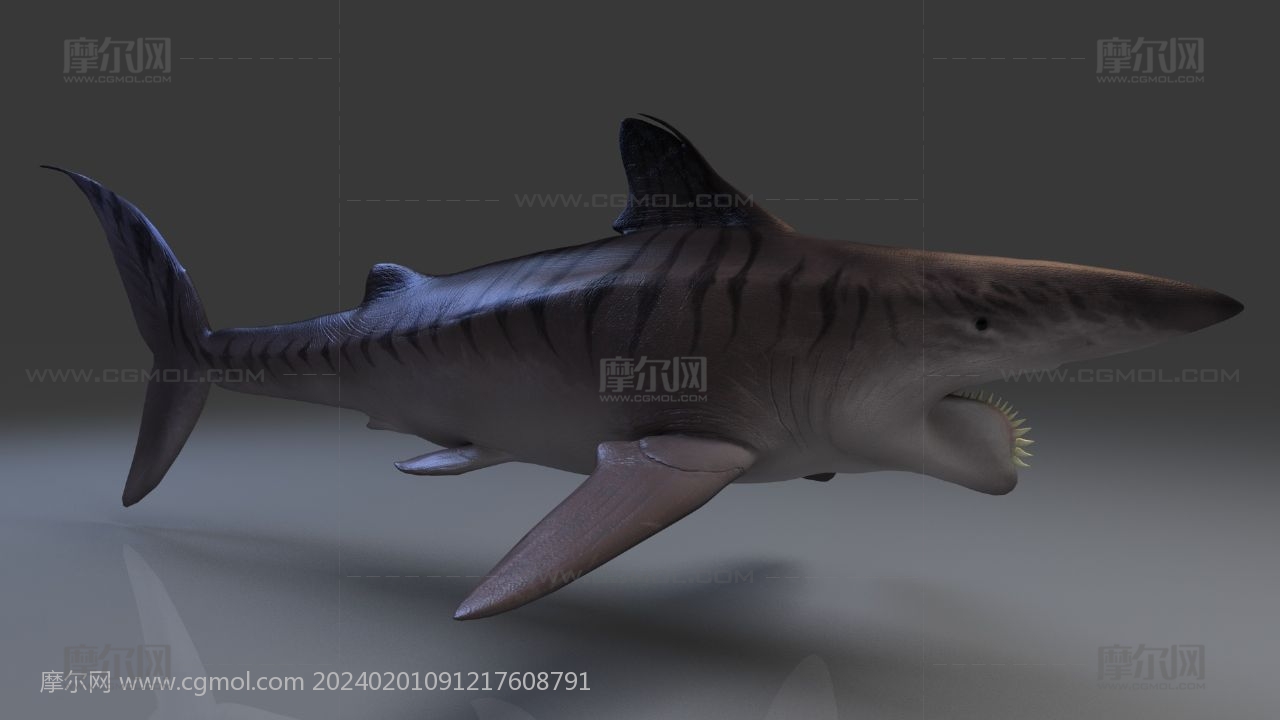旋齿鲨max,fbx模型