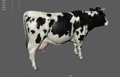 草原奶牛,母牛,牧场奶牛