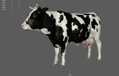 草原奶牛,母牛,牧场奶牛