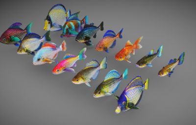 鱼类动物,动物模型_3D模型免费下载-摩尔网